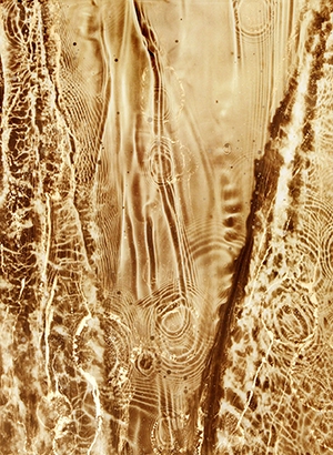 Image Coming Soon